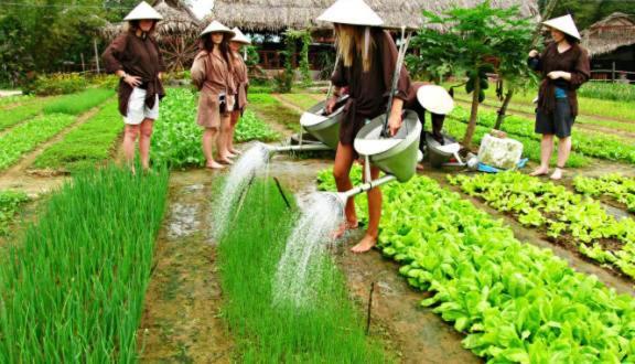 Ri'S House Hoi An Homestay Bagian luar foto